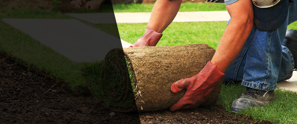 Richardson Landscapers